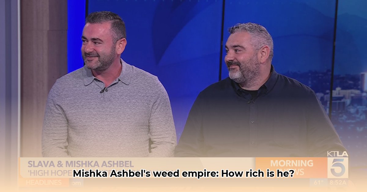 mishka-ashbel-net-worth